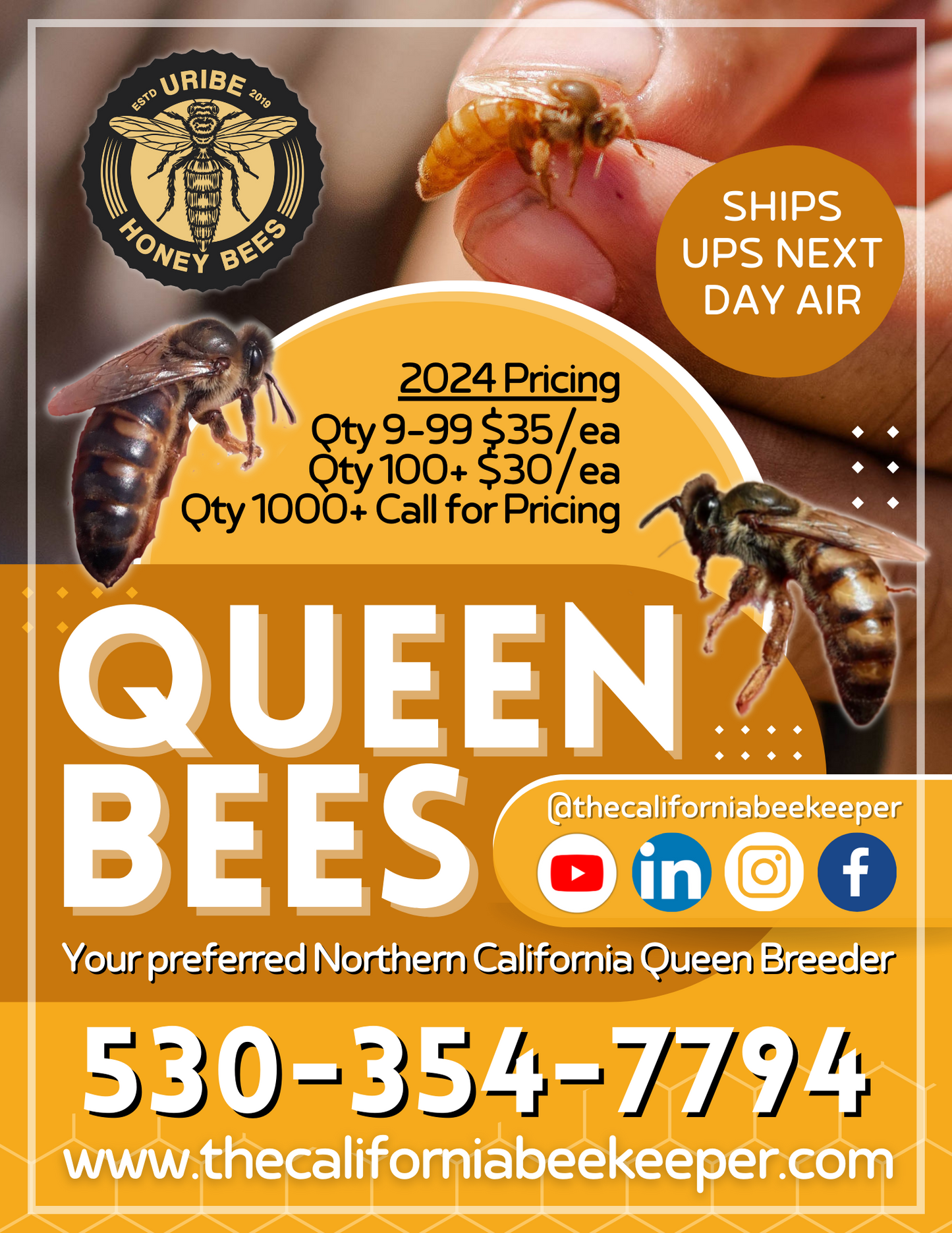 2024 Queen Bees (Unmarked) Uribe Honey Bees The California Beekeeper