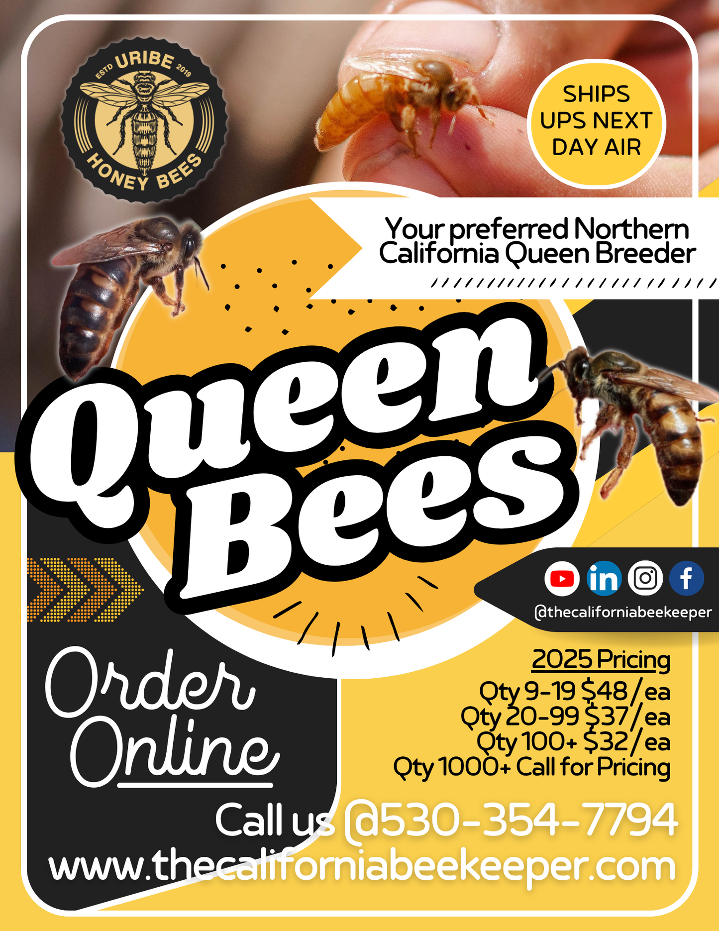 2025 Queen Bees (Unmarked)