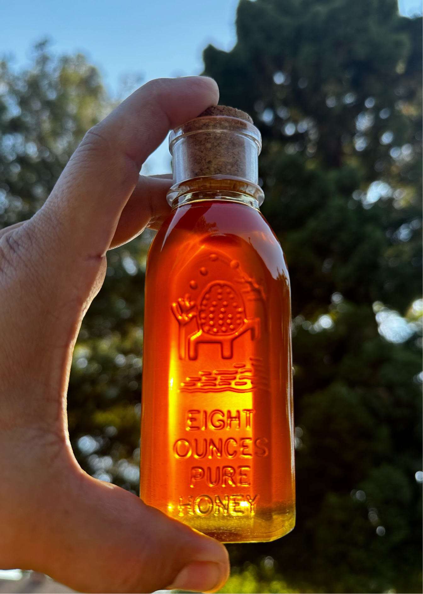 Sweet Raw Pure Honey | Uribe Honey Bees