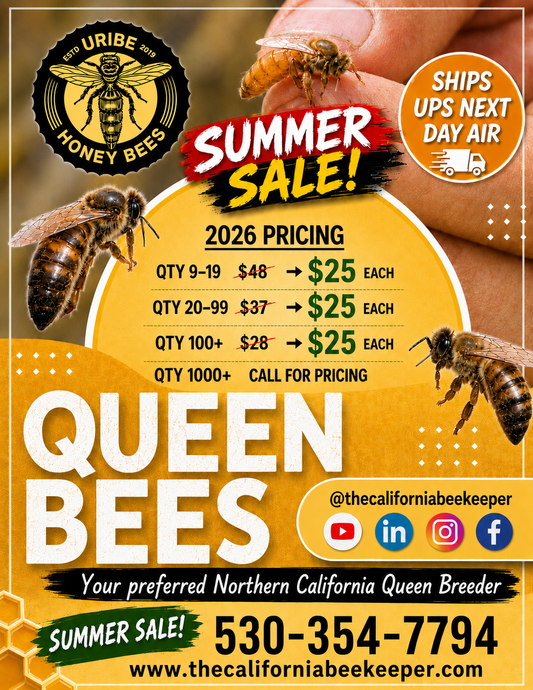 2026 Queen Bees (Unmarked)